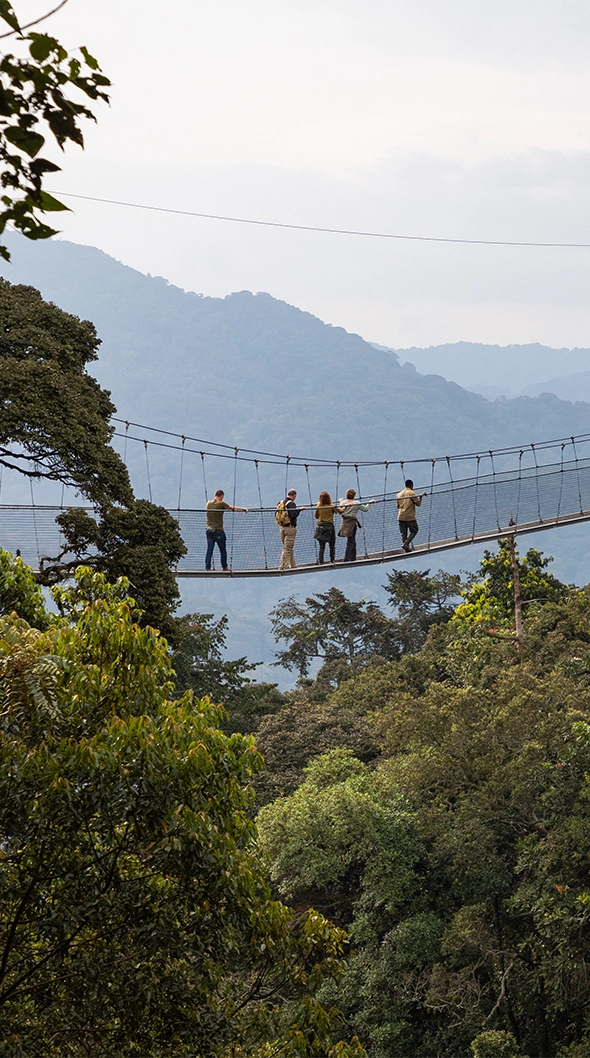 Nyungwe National Park Rwanda