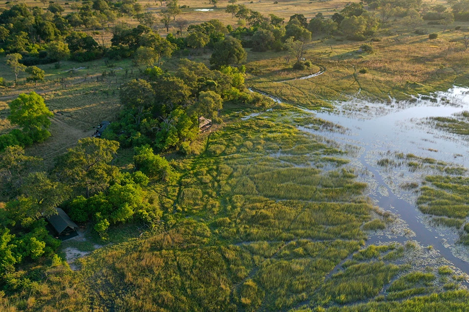 Okavango Origins