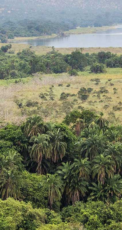 African Parks safari