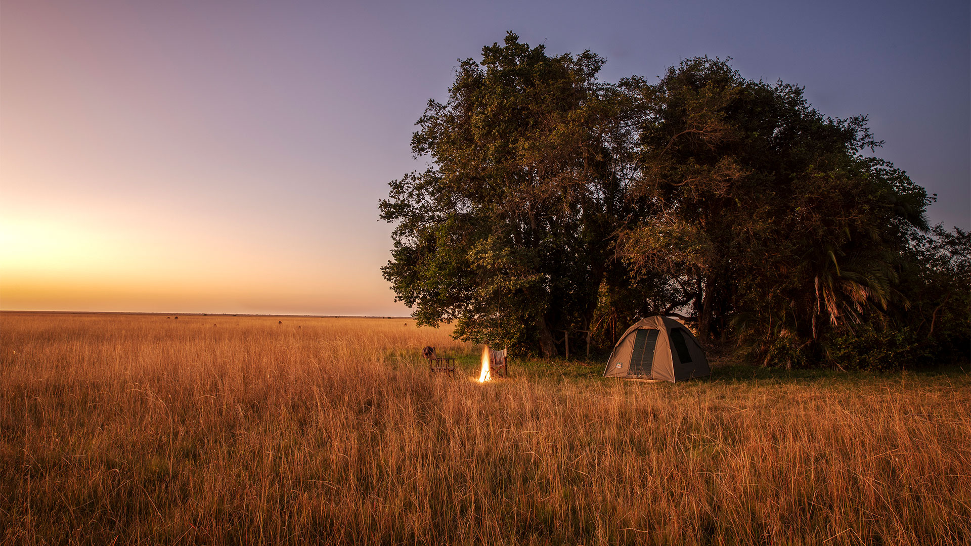 Nsobe Bangweulu safari