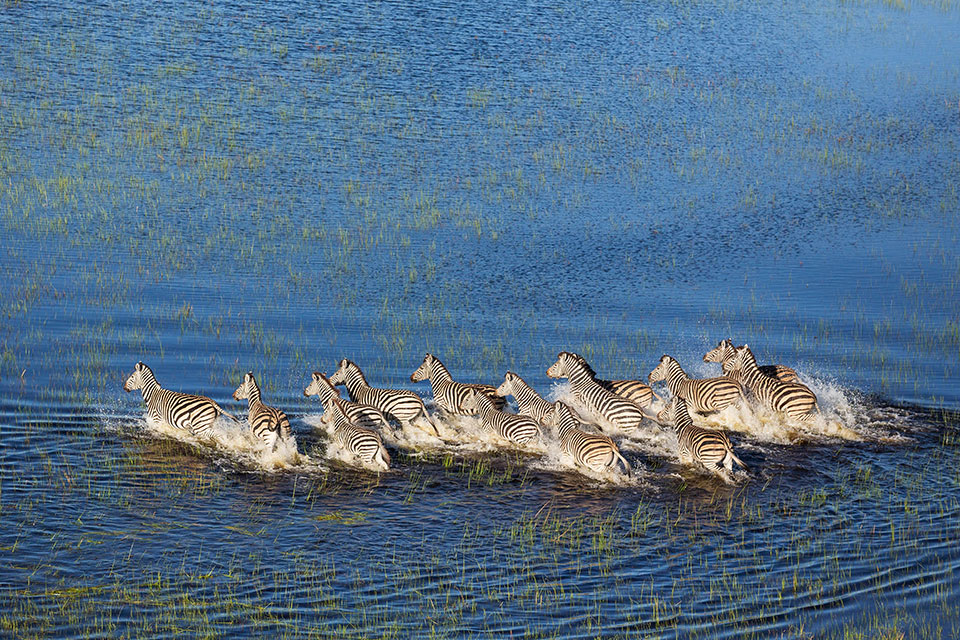 Okavango Delta