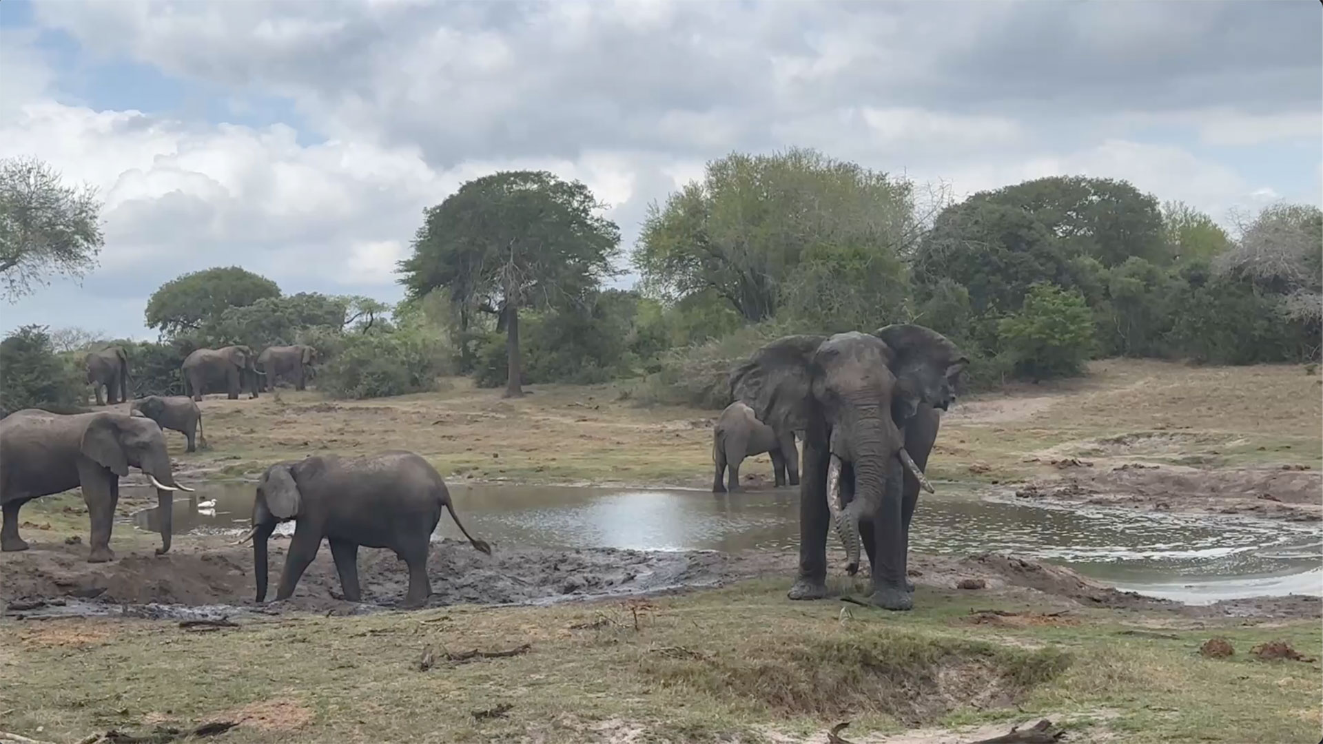 Tembe Park