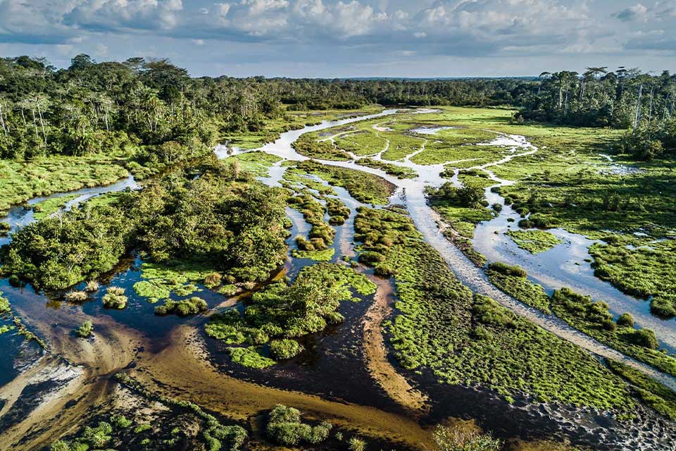 Odzala-Kokoua National Park