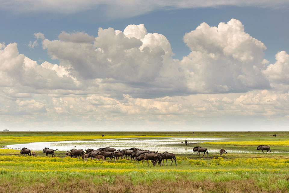 Liuwa Plain National Park