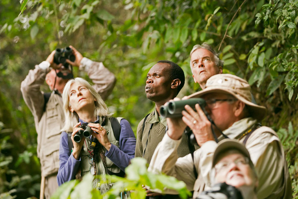 Bird-watching