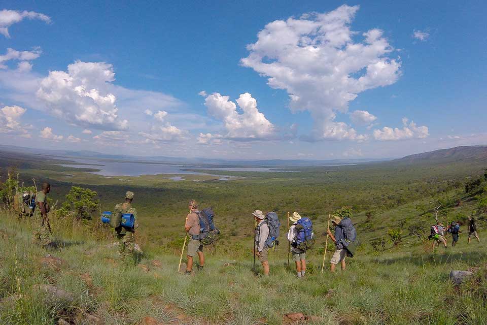 Walking safari