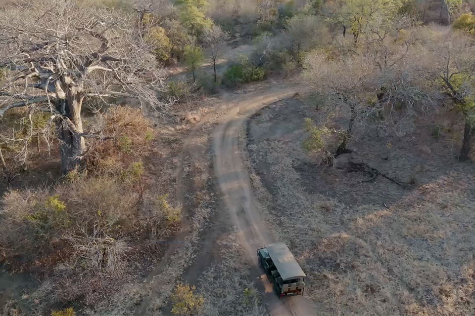 Game drives
