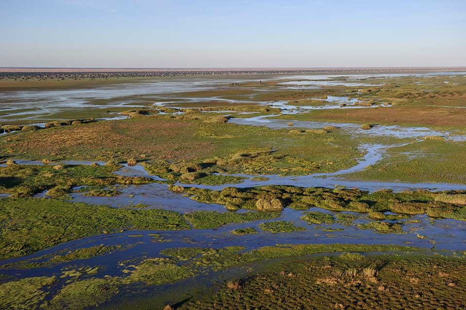 Bangweulu Wetlands