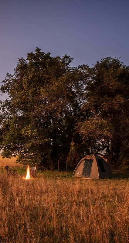 Nsobe Campsite Bangweulu