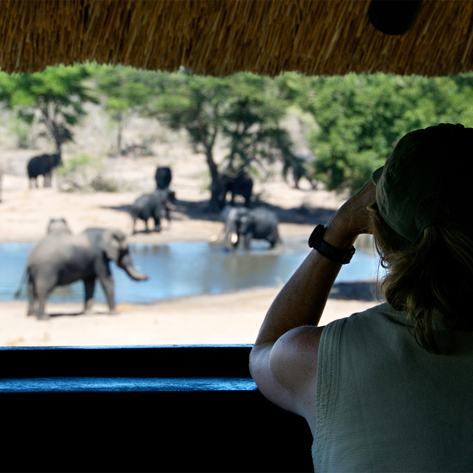 What to do in Tembe