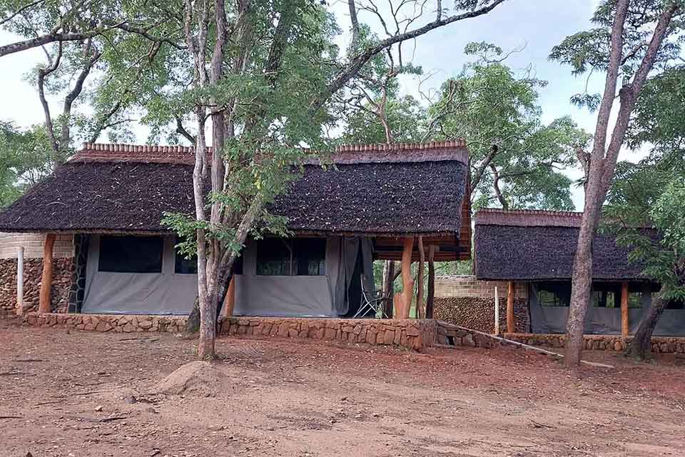 Livezi Bush Camp