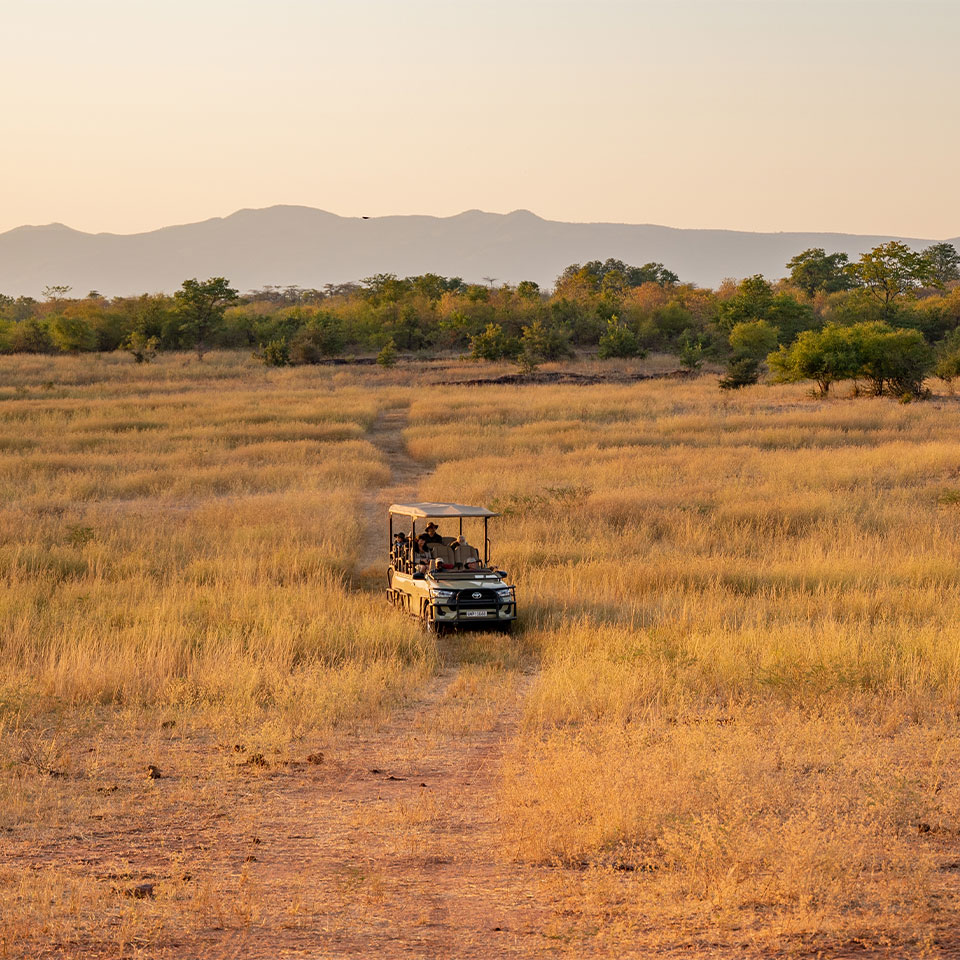 Lake Kariba safari