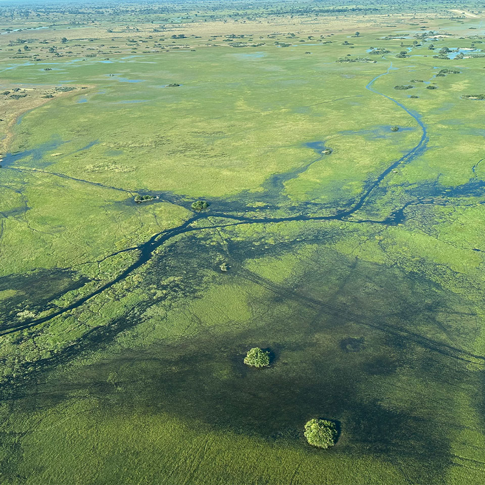 Botswana luxury safari booking