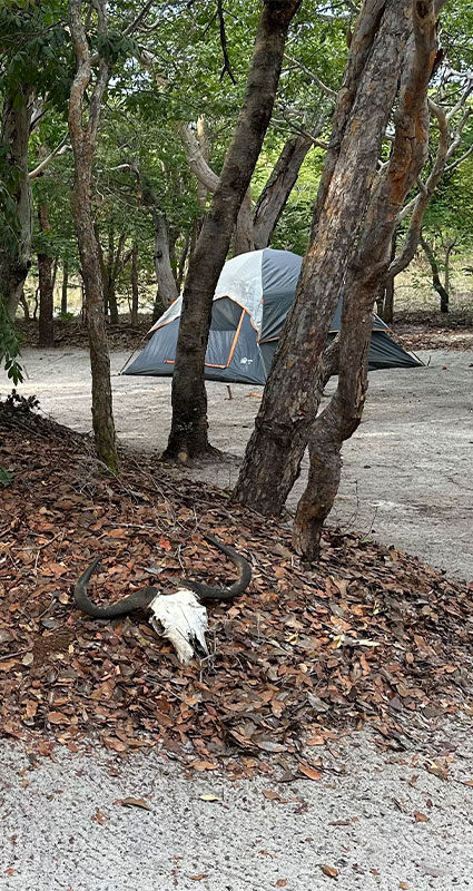 Liuwa Plain camping safari